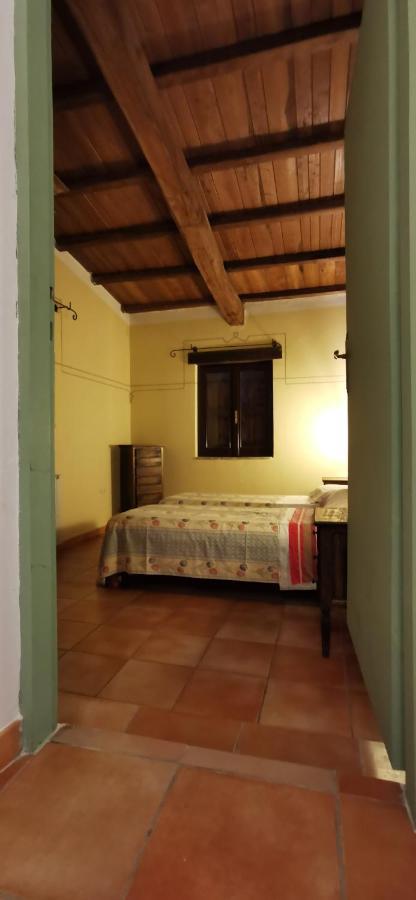 Country House Trevi Umbria Borghetto Vetuliae Santa Maria in Valle Ngoại thất bức ảnh